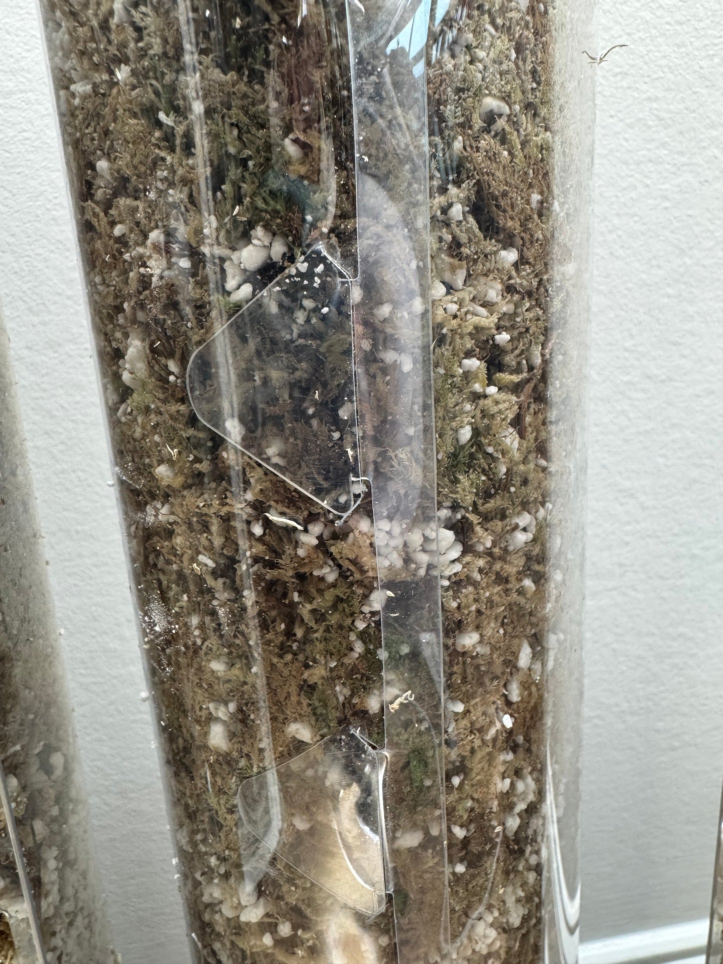 4" x 24" stackable moss pole (2 pack)
