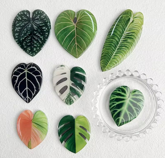Plant Leaf Magnets – Unique Magnetic Plant Decor for Any Space (pack of 8)