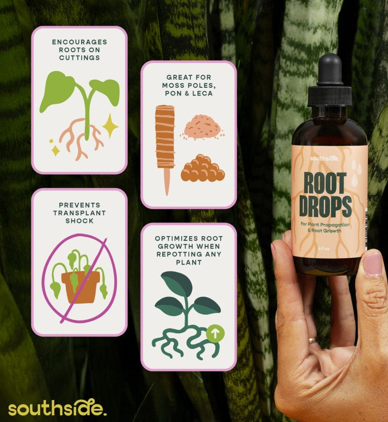 Prop Drops - Rooting Hormone for Plant Cuttings